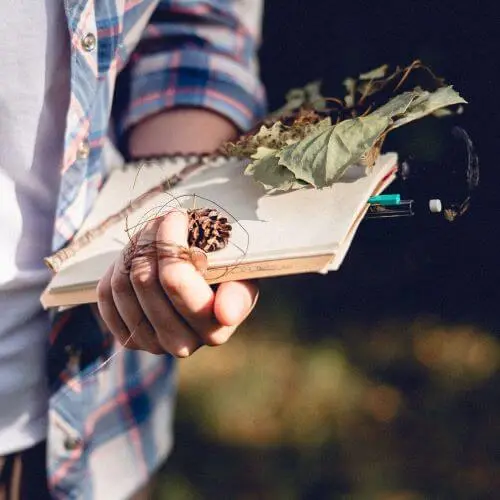 Gros plan sur le bras d’un humain tenant un carnet de notes dans sa main, avec des feuilles sèches posées sur le carnet, un petit bout de bois et une pomme de pin.