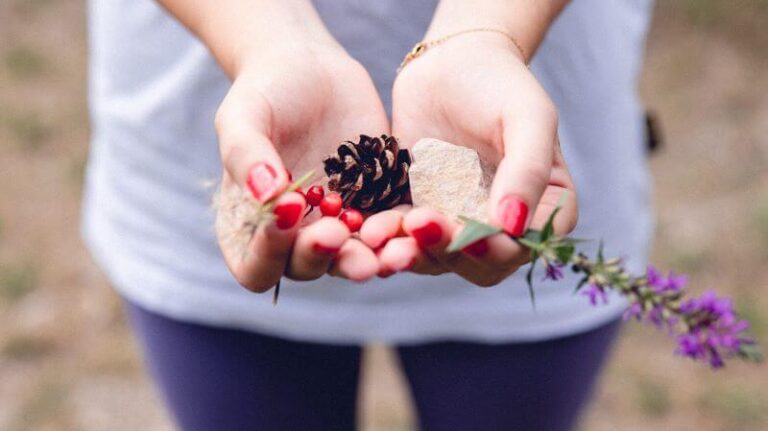 Gros plan sur les mains en coupe d’une éducatrice spécialisée qui a créé un écorituel avec un caillou, une pomme de pin, une fleur de pissenlit et de lavande.